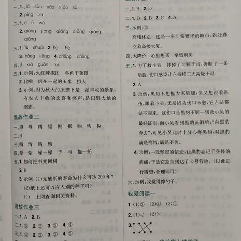 暑假作业（答案参考）