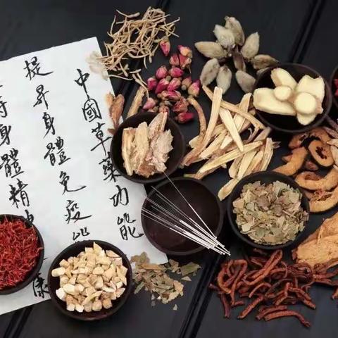 发展中药材产业 助力乡村振兴