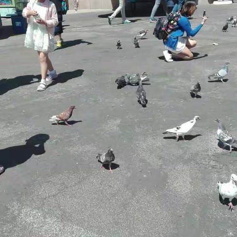 威海西霞口野生动物园