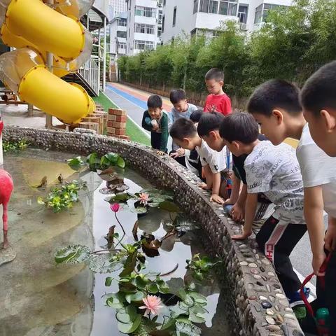 夏季防溺水，不做孤泳者