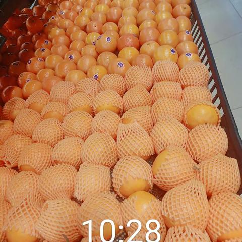 【宇科店】营业检查报告