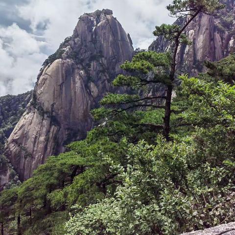 登黄山