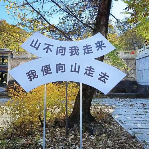 秋天的怀念