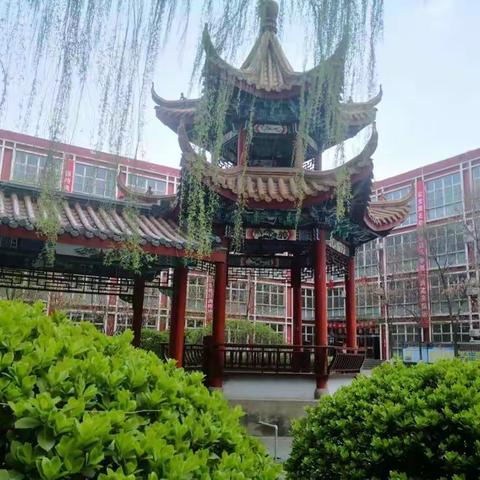 春光正好争朝夕，不负韶华逐梦行——尖草坪一中高三年级精准备考