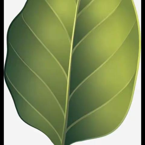 小班上学期主题活动目录