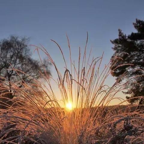 你让冬天不寒冷