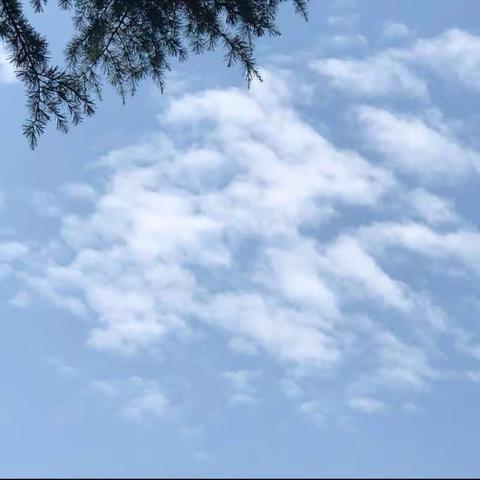 以静之精神打造成长花园