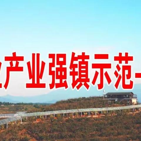 好消息‖首批国家农业产业强镇名单公布：建宁县溪口镇入选！