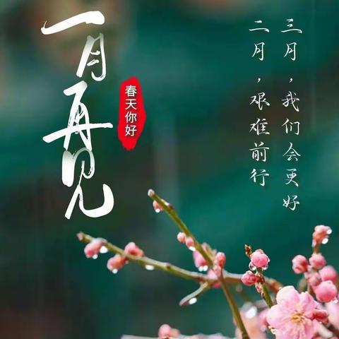 莲庄镇双语中心幼儿园“停园不停教”美篇
