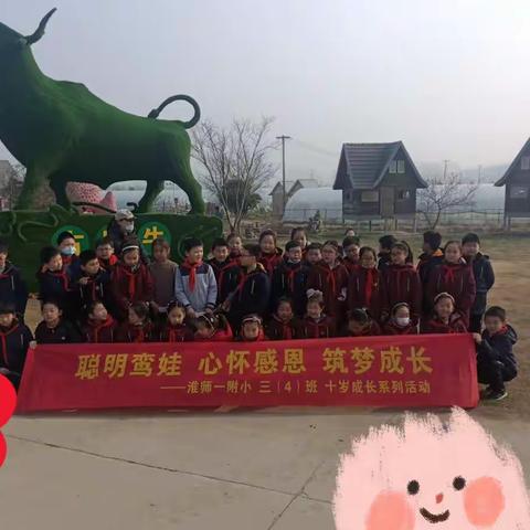 “树”你最美，筑梦成长