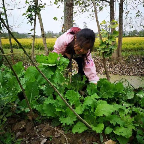 金秋十月，收获满满，分享劳动