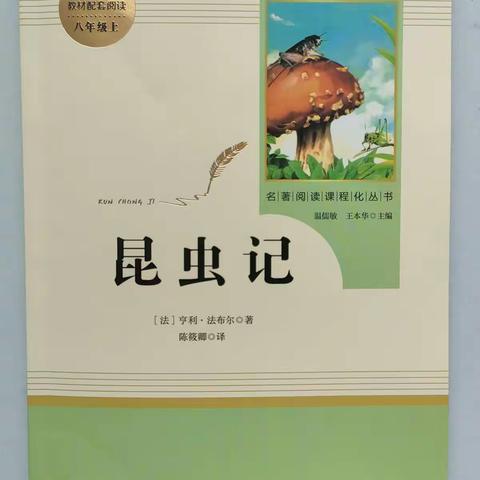 朝阳中学读书节2021级12班刘鑫然