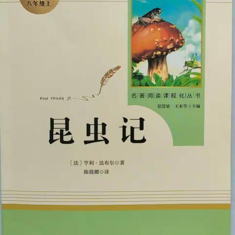 朝阳中学读书节  2021级12班刘鑫怡