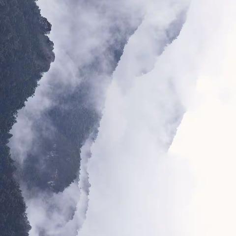 雨后的阳杨线和阳柏