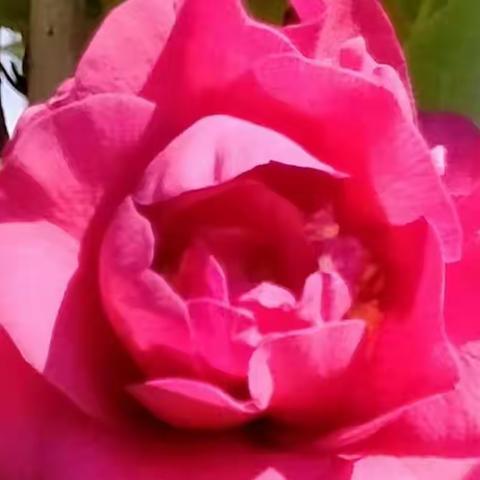 壬寅春日   感事吟诗138首