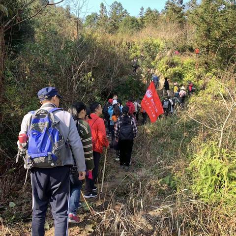 极目遐迩青龙山，仿若仙境永嘉行———12月14日君君户外永嘉青龙山活动行