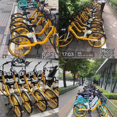 沙河街道市容环卫日报