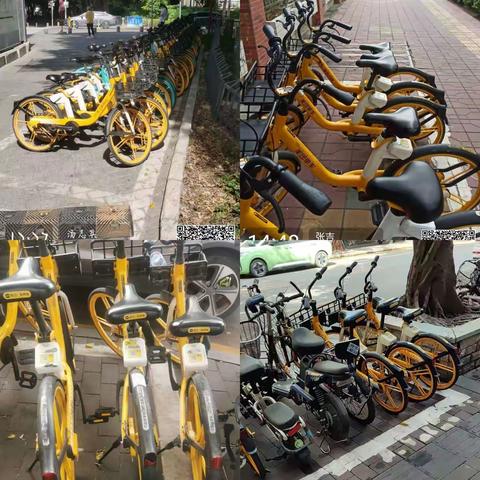 沙河街道市容环卫工作日报