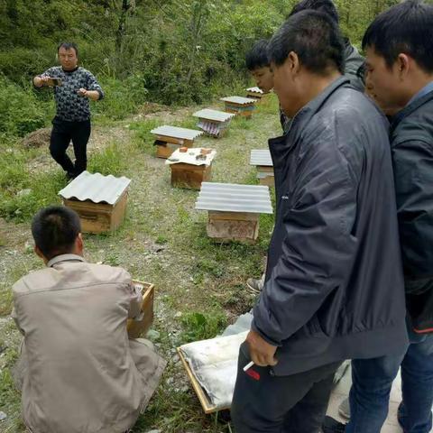 白杨林村加快产业发展和基础设施建设