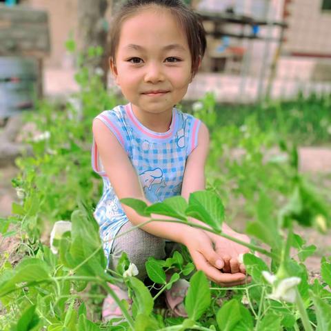 又是一个夏季