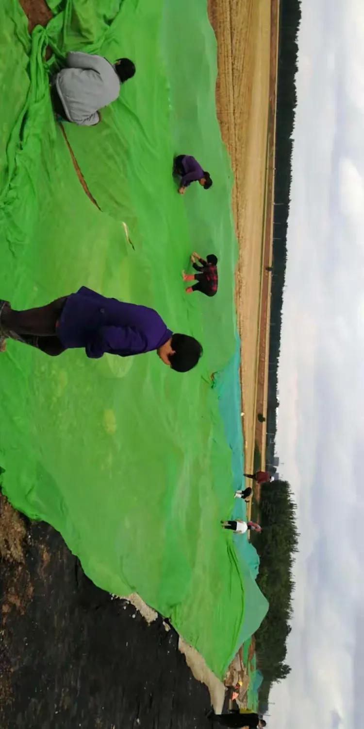 肥乡区交通运输局局长董红坤现场指导吉安路施工,大气治理稳步进行!