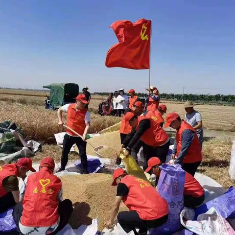 麦岭镇岗西前街社区：发挥党员模范作用，争当“五星”支部创建“急先锋”