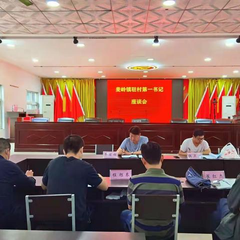 交流提升学经验，共谋思路促发展 --麦岭镇召开驻村第一书记座谈会