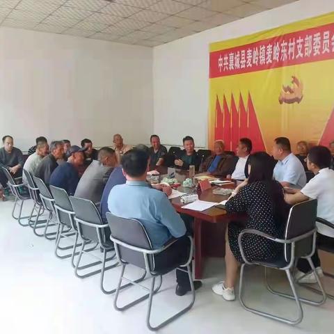 党旗在基层一线高高飘扬|麦岭镇基层党支部主题党日活动精彩纷呈