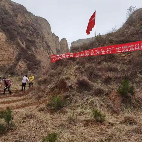 平凉生态环境监测中心积极参加驻地2021年春季义务植树活动