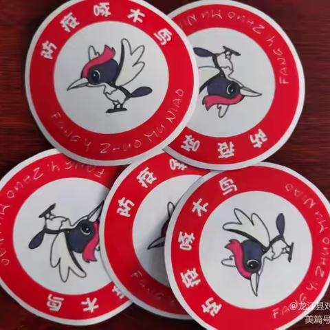 关注学生健康 筑牢防疫长城