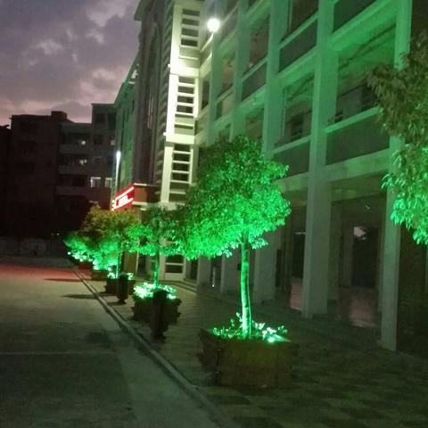 百奇民族中学学生社会实践侧记