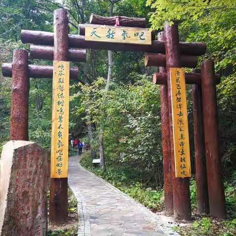 枫林行🍁@2020.9