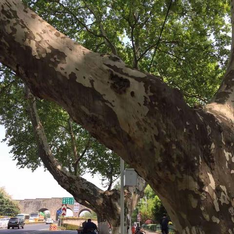 我们只是久别重逢