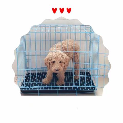 原来，我是一个疯丫头。