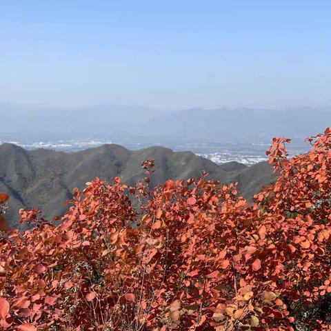 剌小胥的美篇