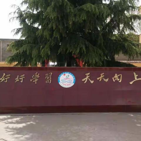 东宋镇中心小学周四少年宫社团活动掠影