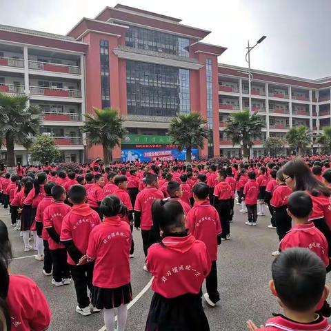 创建全国文明城市，红领巾在行动。