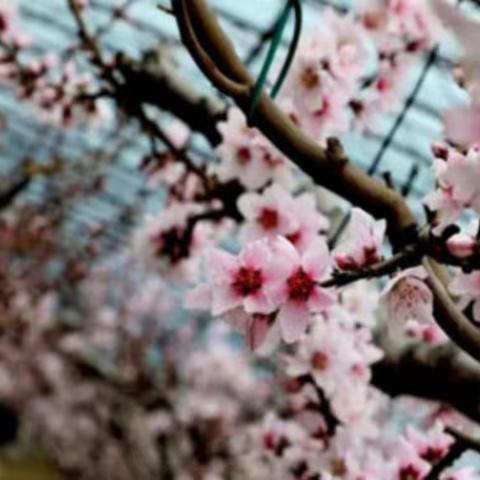 停课不停学·居家也乐学