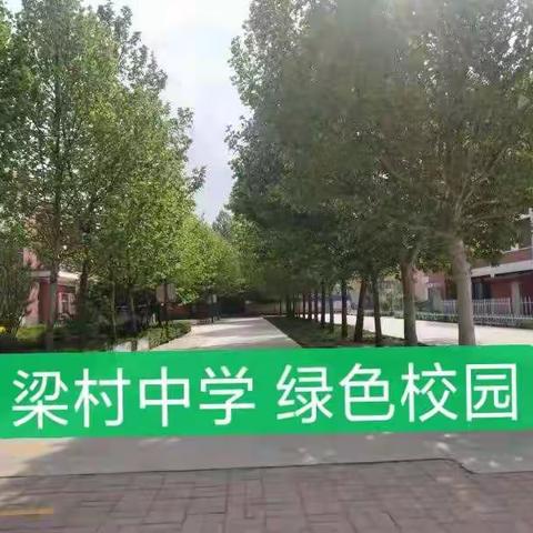 又是一年好风景，绿色校园初建成