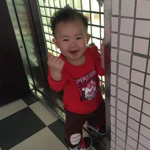 老贝入学记（一）