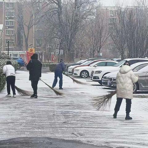 雪花❄️飘飘-绿岛瑞雪