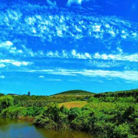 秋末冬初～众合至信体闲一日游（水果采摘+烤全羊）