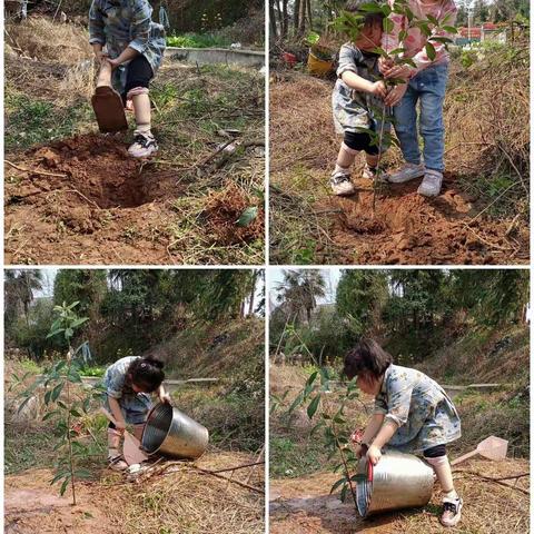 开心幼儿园“我与小树共成长”植树节活动