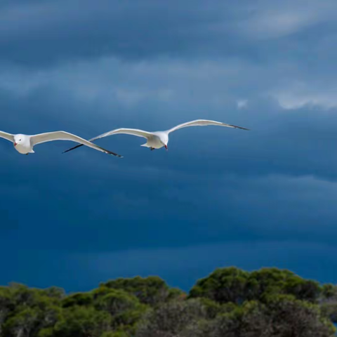 日记星球：日记点评荟萃