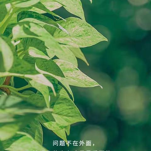 在家随笔