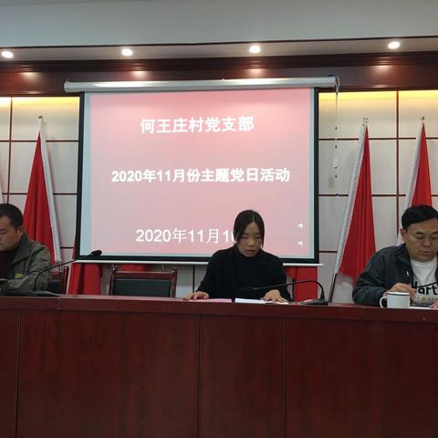 沙澧街道何王庄村11月份主题党日纪实活动