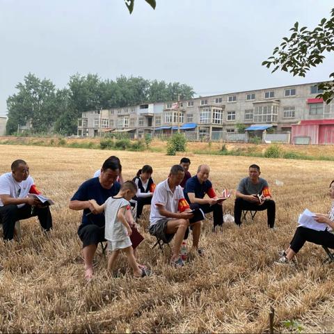 沙澧街道何王庄村6月份主题党日纪实活动