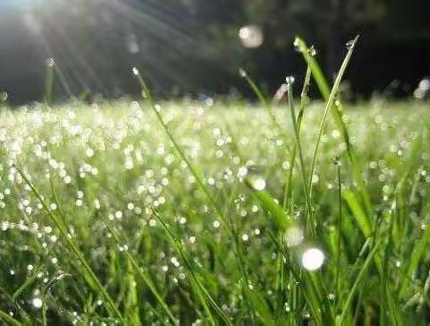 走村入户查学情  春风化雨润无声