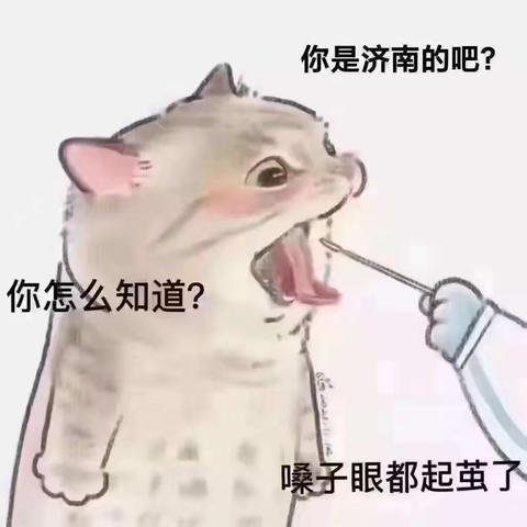 七组作业美篇