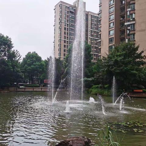 【处暑日抒怀】，作者/刘晓平，歌曲/火火的大陕北，演唱/李菊